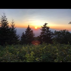 Meet your Posher, Bailey